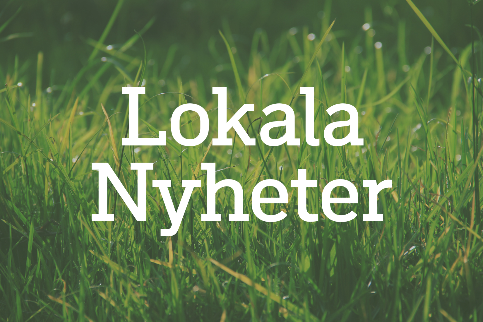 Lokala Nyheter logotype